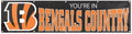 Cincinnati Bengals Huge 8x2 Foot Premium Banner Flag Embroidered Applique Outdoor House