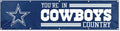 Dallas Cowboys Huge 8x2 Feet Banner Flag Metal Grommets