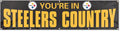 Pittsburgh Steelers Huge 8x2 Feet Banner Flag Metal Grommets