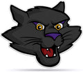 Northern Iowa Panthers Pennant Mascot Design 18 Inch Soft Felt University of