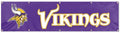 Minnesota Vikings Giant 8x2 Feet Banner Flag Embroidered Applique