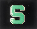 Michigan State Spartans Metal Hat Lapel Pin University