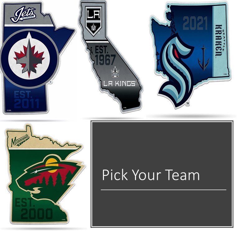 Winnipeg Jets 18" State Design Pennant Soft Felt
