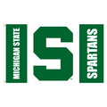 Michigan State Spartans 3x5 Flag