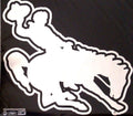 University of Wyoming Cowboys 6 Inch Magnet, Metallic Chrome Shimmer Design, Auto Home, Heavy Duty