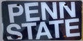 Penn State University Nittany Lions Laser Tag License Plate, Mirrored Acrylic Printed, 6x12 Inch