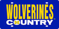 University of Michigan Wolverines Premium Laser Cut Tag License Plate, Country Design, Mirrored Acrylic Inlaid, 6x12 Inch